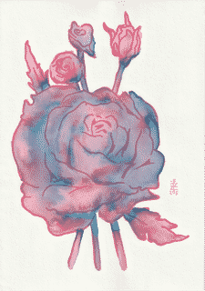 plant-rose-2025